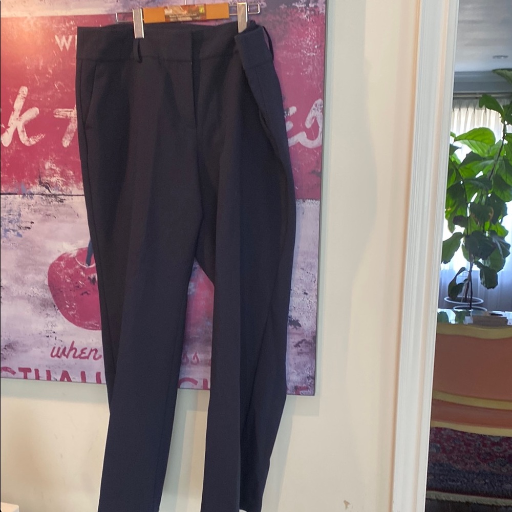 Ann Taylor Women's Navy Pants